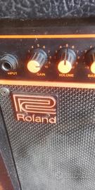 amplificatore Roland DAC-15B