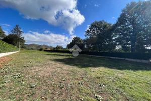 TER. AGRICOLO A ROCCA PRIORA