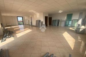 UFFICIO A REGGIO NELL'EMILIA