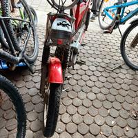 Benelli export 3v