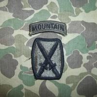 Us Army 10th Mountain Division subdued Patch