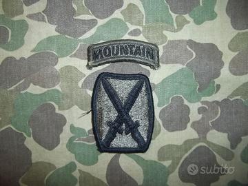 Us Army 10th Mountain Division subdued Patch