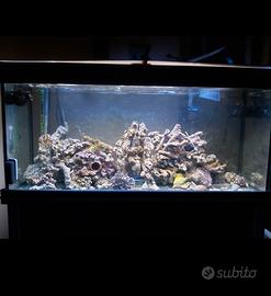 acquario marino completo 