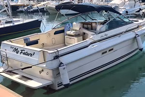 Sea Ray 270 Amberjack 1988 - 760 ore, revisionata