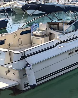 Sea Ray 270 Amberjack 1988 - 760 ore, revisionata