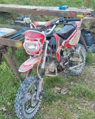 Pit bike 125 con documenti