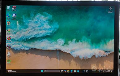 Monitor LCD Acer P193W schermo 19" VGA con cavi