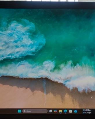 Monitor LCD Acer P193W schermo 19" VGA con cavi