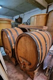 Botti in rovere, vetroresina e torchio idraulico