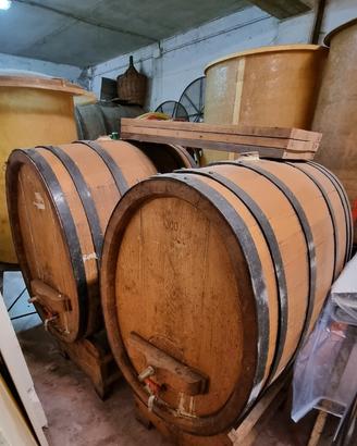 Botti in rovere, vetroresina e torchio idraulico