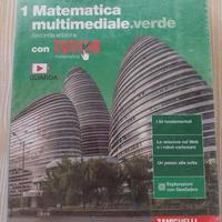 Matematica multimediale