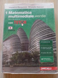 Matematica multimediale