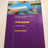 Il novecento di Andrea Bassistini