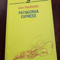 Patagonia Express
