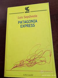 Patagonia Express