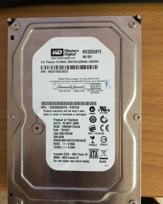 Due hdd 500,320 gb