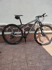 Scott carbon
