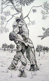 ulivi 