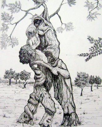 ulivi 