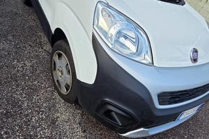Fiorino