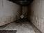Immagine 13