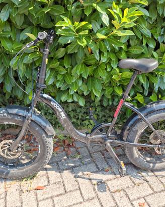 Fat Bike 20 x 4