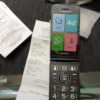 brondi amico flip 4g 