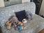 Immagine 2
