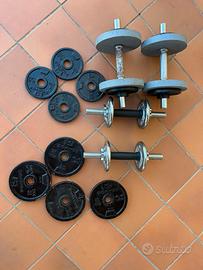 Dischi  e manubri allenamento palestra