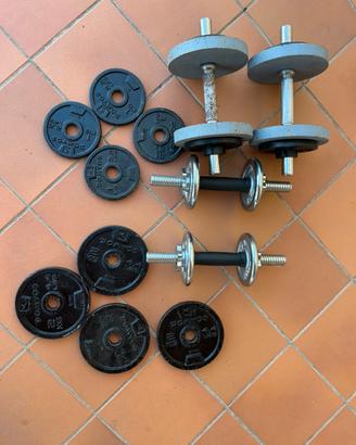 Dischi  e manubri allenamento palestra