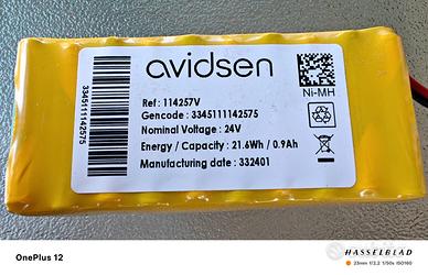 Batteria automatismo cancello Avidsen