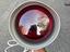 Immagine 6