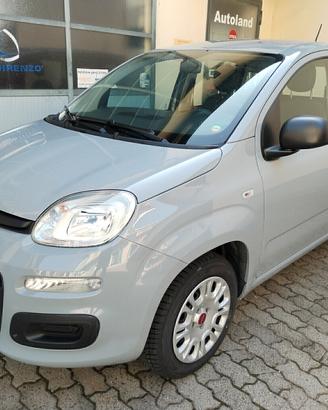 Fiat Panda 1.2 Easy - 11/2020