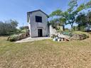 terreno-agricolo-scansano-cod-rif-3240219vcg-