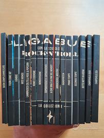 Ligabue collezione CD e DVD