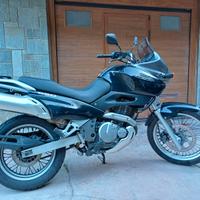 Suzuki XF Freewind 650 - 1999