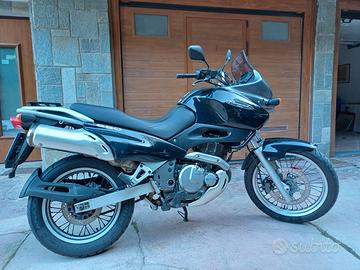 Suzuki XF Freewind 650 - 1999