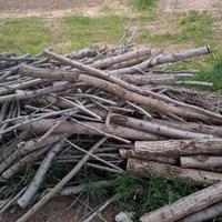 LEGNA da caminetto Stufa 