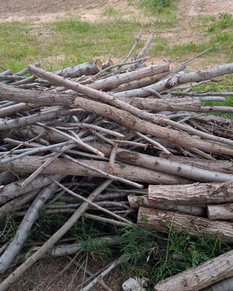 LEGNA da caminetto Stufa 