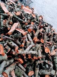 legna di nostra produzione 