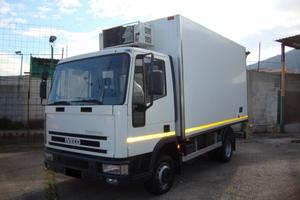 IVECO 65E14 FRIGORIFERO