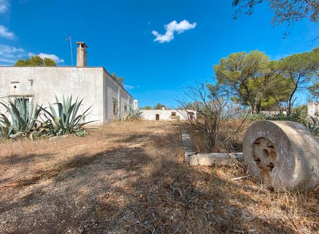 Tre strutture su ampio terreno agricolo