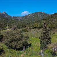 Terreno agricolo pianeggiante