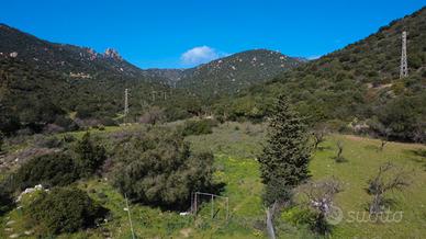 Terreno agricolo pianeggiante