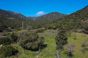 Terreno agricolo pianeggiante