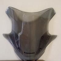 cupolino sport touring ninja 1000sx