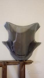 cupolino sport touring ninja 1000sx