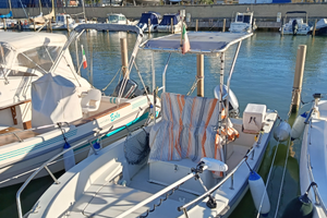 Marino 520 honda bf 40/60