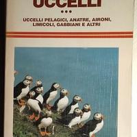 uccelli - pelagici, anatre, aironi... bezzel