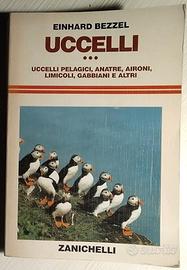 uccelli - pelagici, anatre, aironi... bezzel